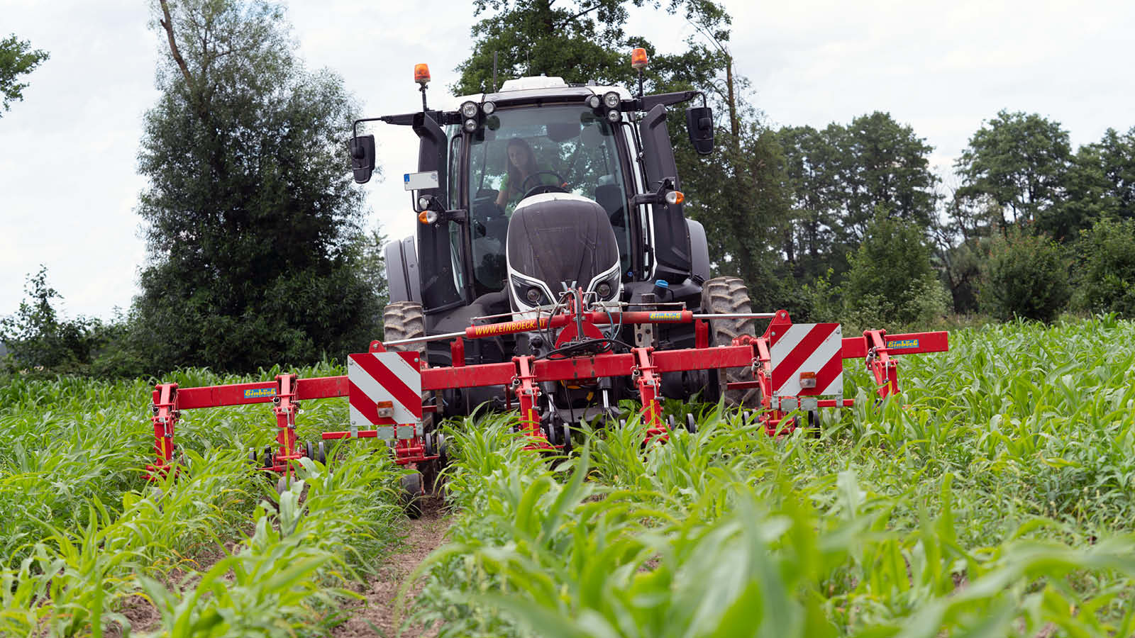 Valtra T-Serie mit Einböcke Hackgerät im Frontanbau im Maisbestand