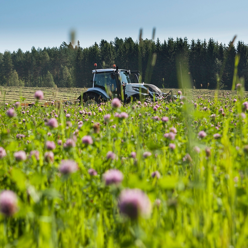 Valtra N-Serie im Grünland